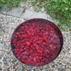 bowl full of raspberries
