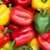 colorful bell peppers