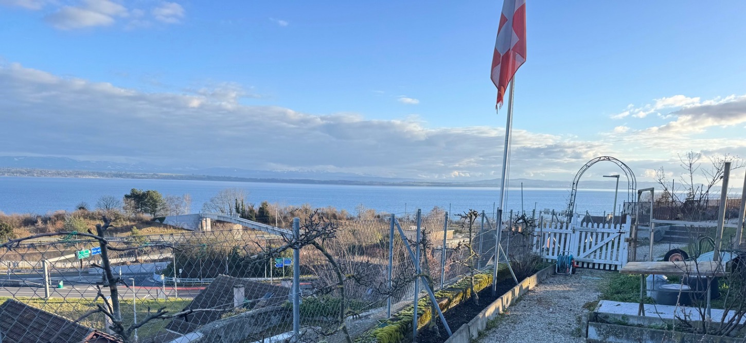 Primrose_winterview_panorama