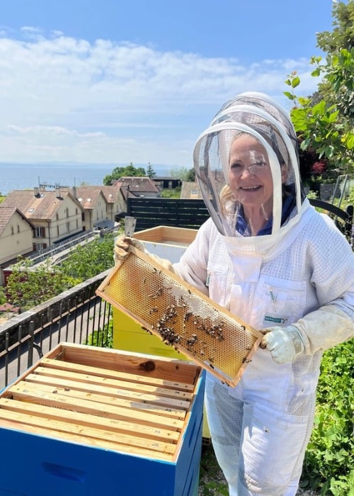 Primrose_Jennifer_honeyframe